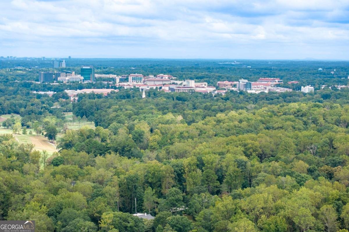 586 Lakeshore Drive Atlanta - 22
