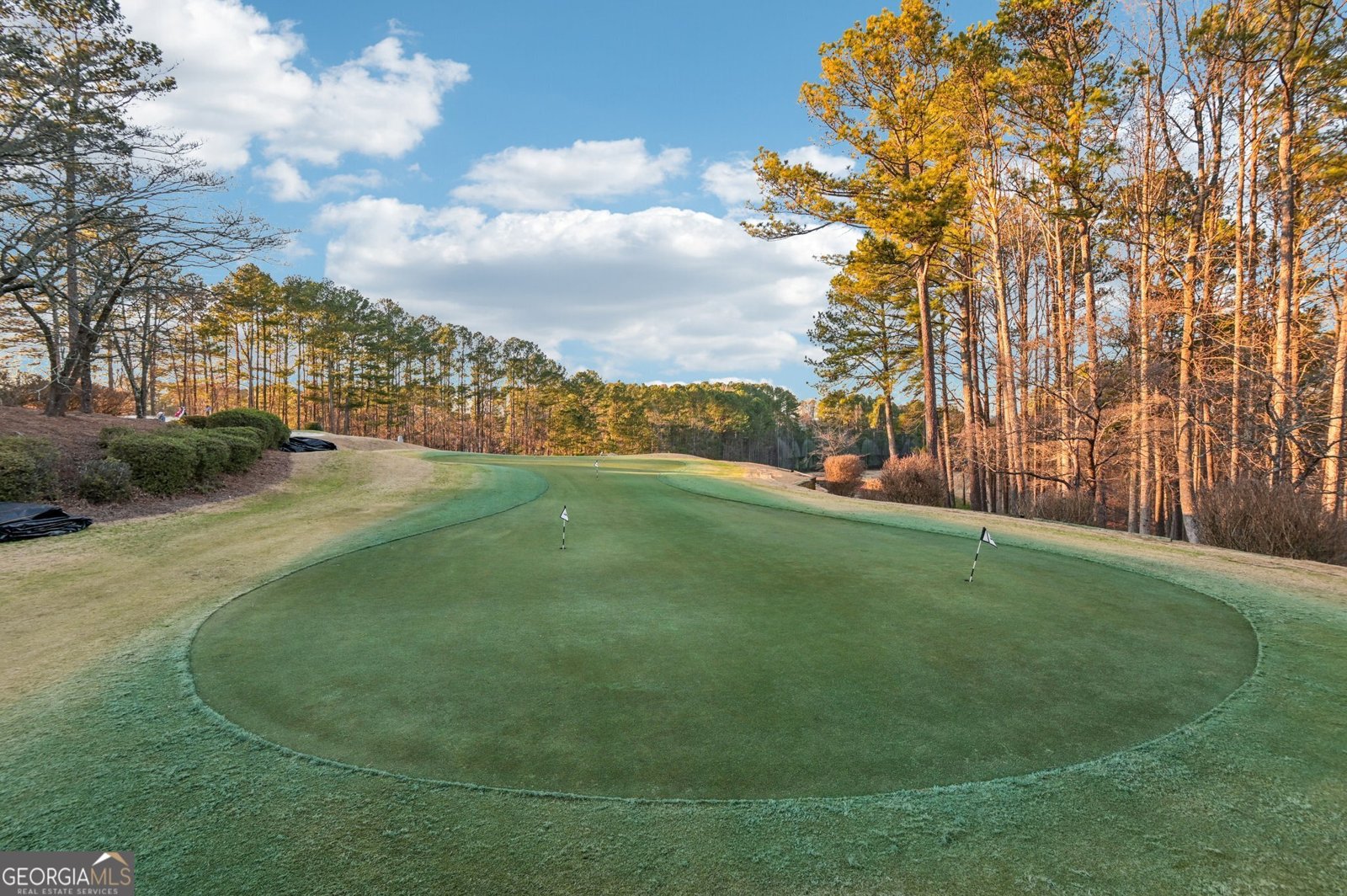 701 Whisper Wind Court Woodstock - Photo 49