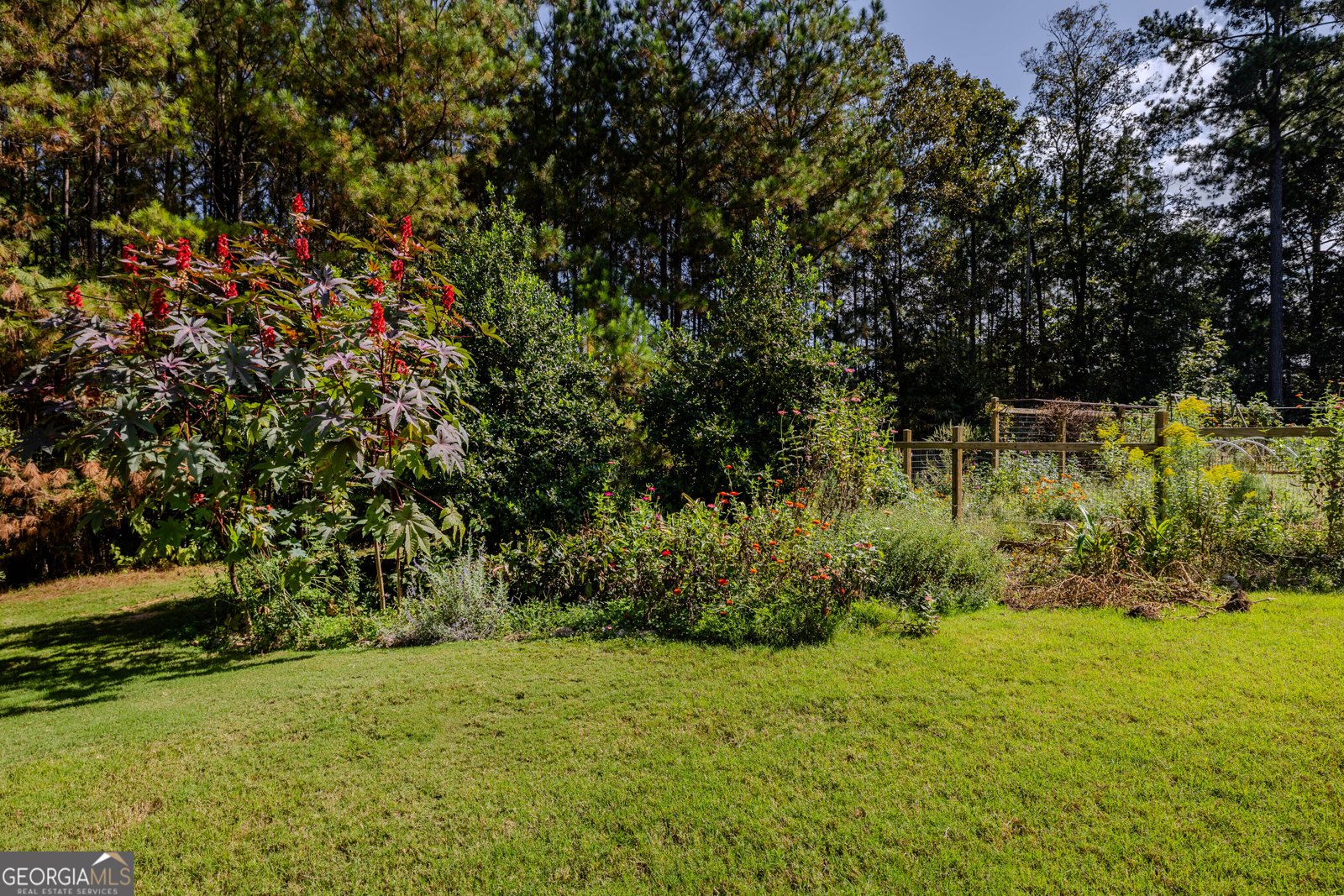 1849 Morrison Campground Road Rome - 3