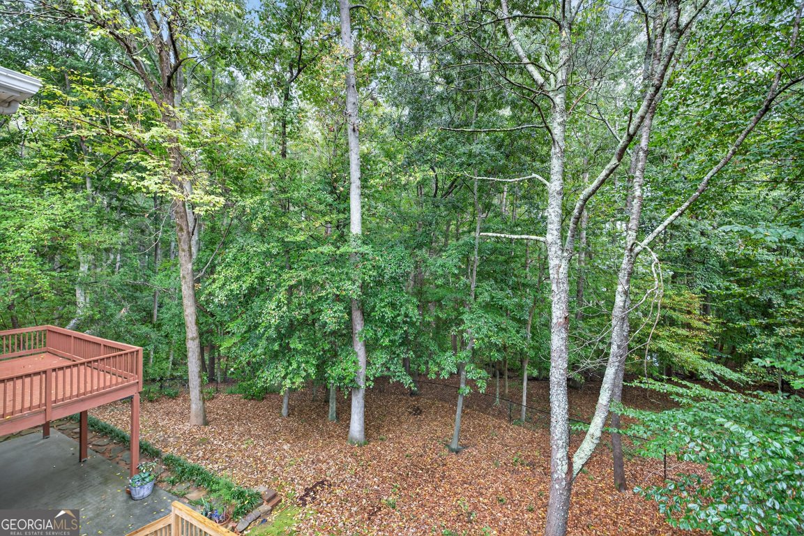 2901 Tree Top Road Dacula - 69