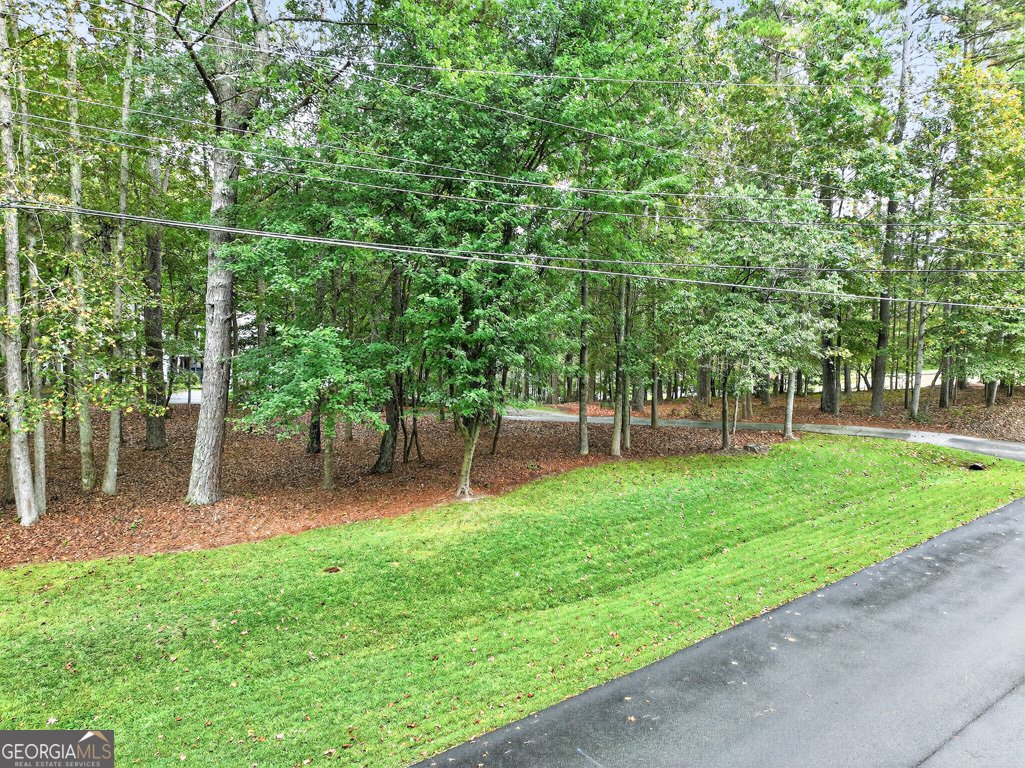 2901 Tree Top Road Dacula - 74