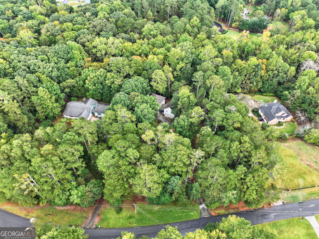 2901 Tree Top Road Dacula - 76