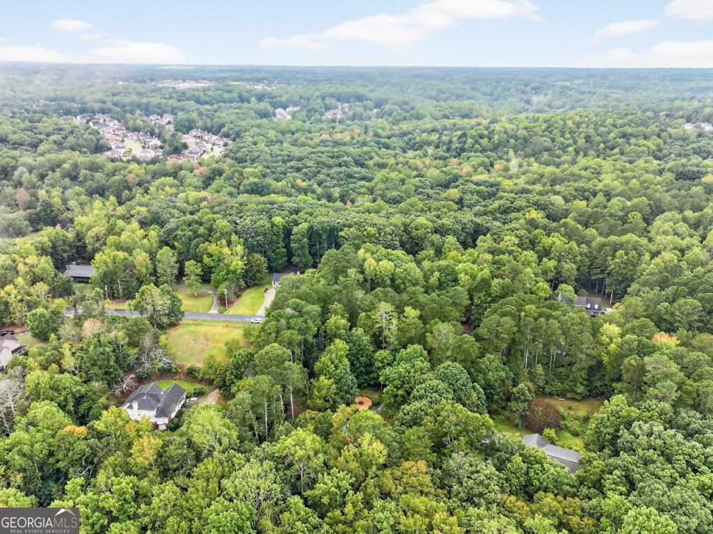 2901 Tree Top Road Dacula - 80