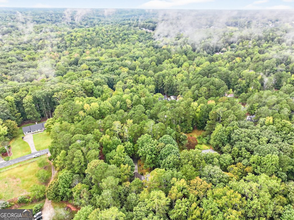 2901 Tree Top Road Dacula - 86