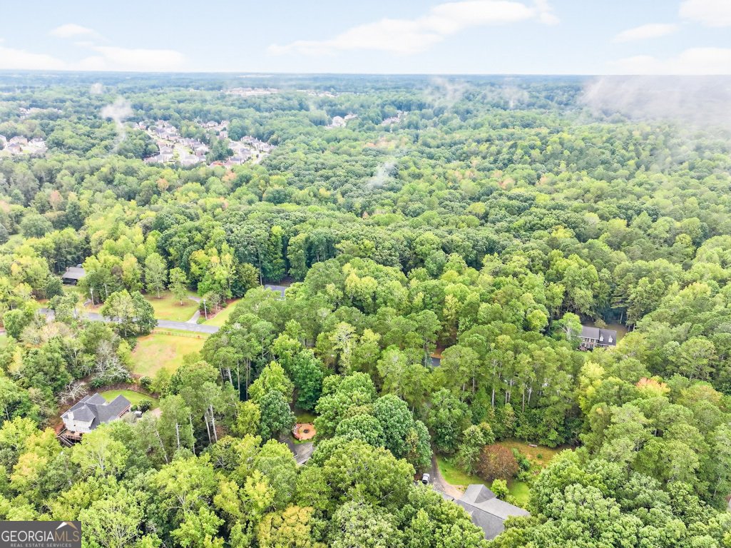 2901 Tree Top Road Dacula - 87