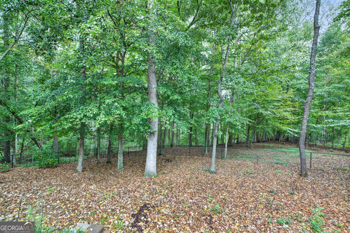 2901 Tree Top Road Dacula - 88