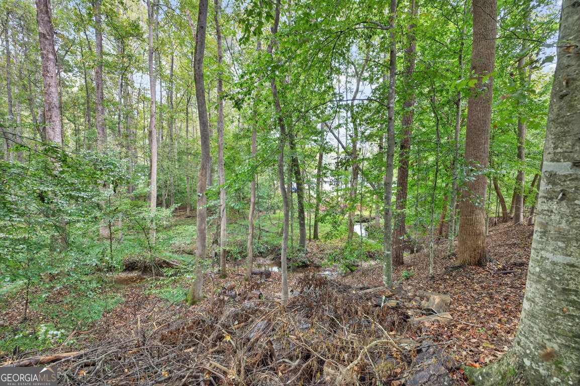 2901 Tree Top Road Dacula - 92