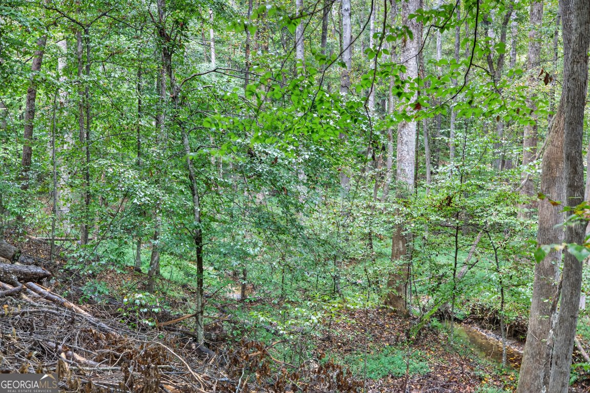 2901 Tree Top Road Dacula - 93