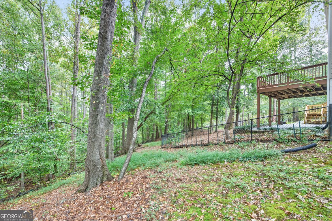 2901 Tree Top Road Dacula - 97