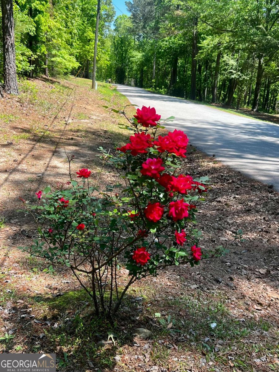 49 BAGWELL Road Dawsonville - 5