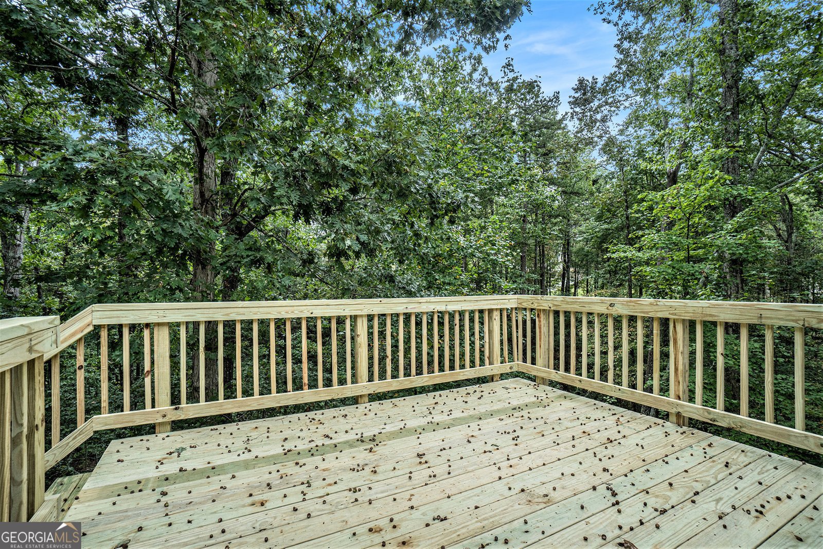 178 Colton Drive Dallas - 22