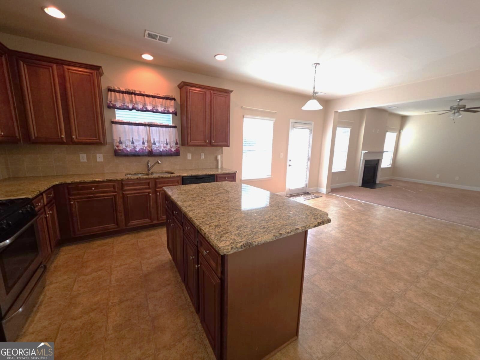 4111 Village Crossing Circle Ellenwood - 10