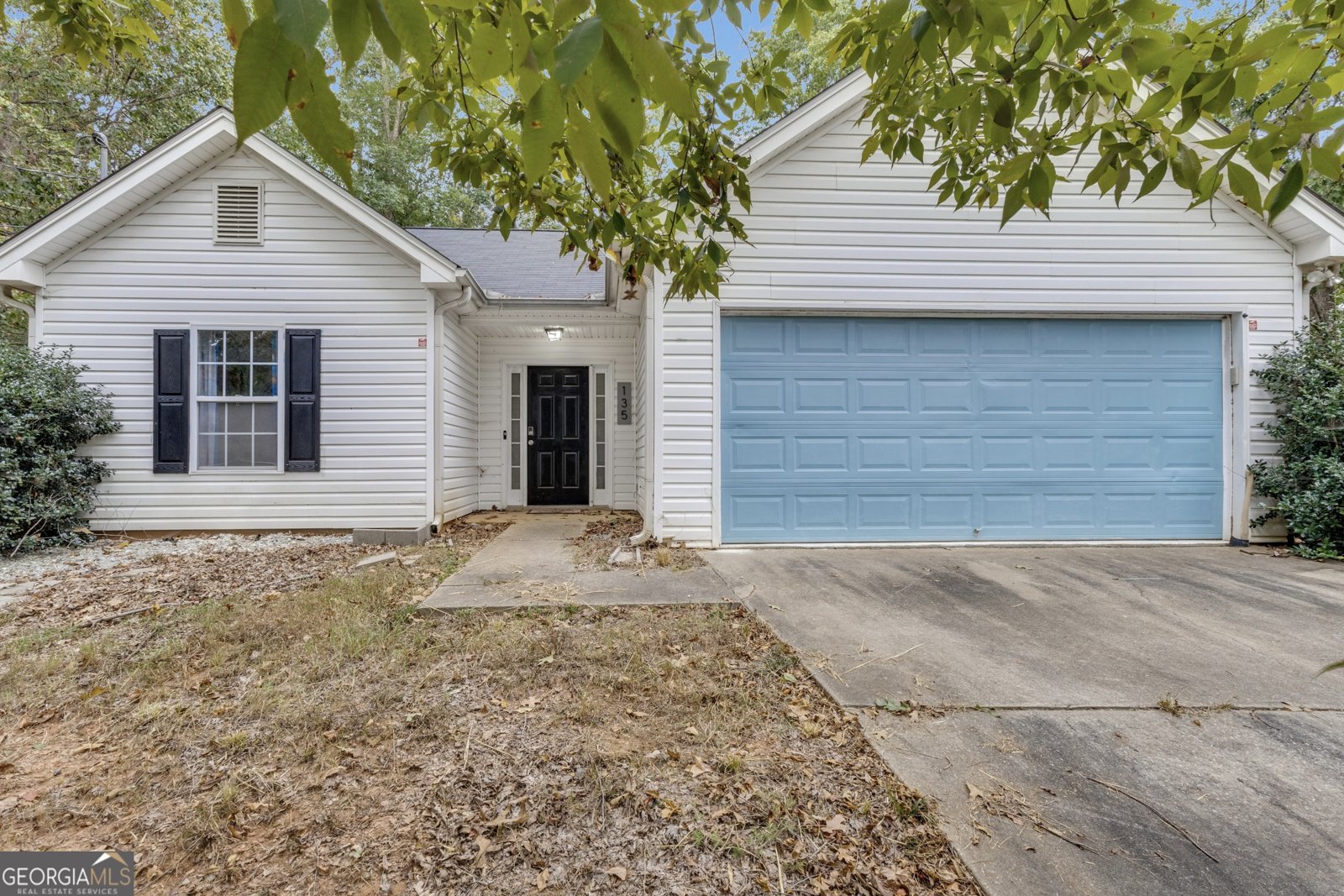 135 Widgeon Drive Newnan - 3