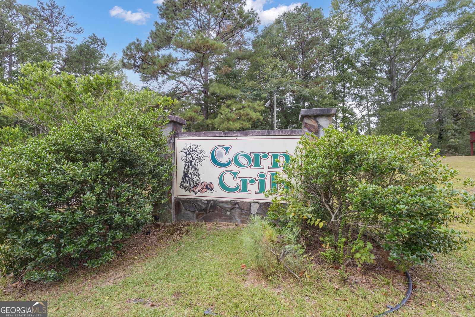 135 Widgeon Drive Newnan - 33