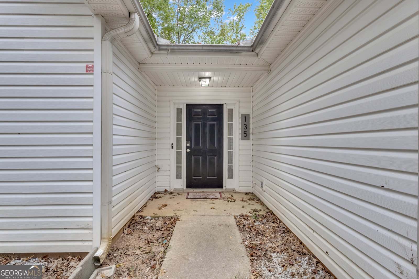 135 Widgeon Drive Newnan - 4