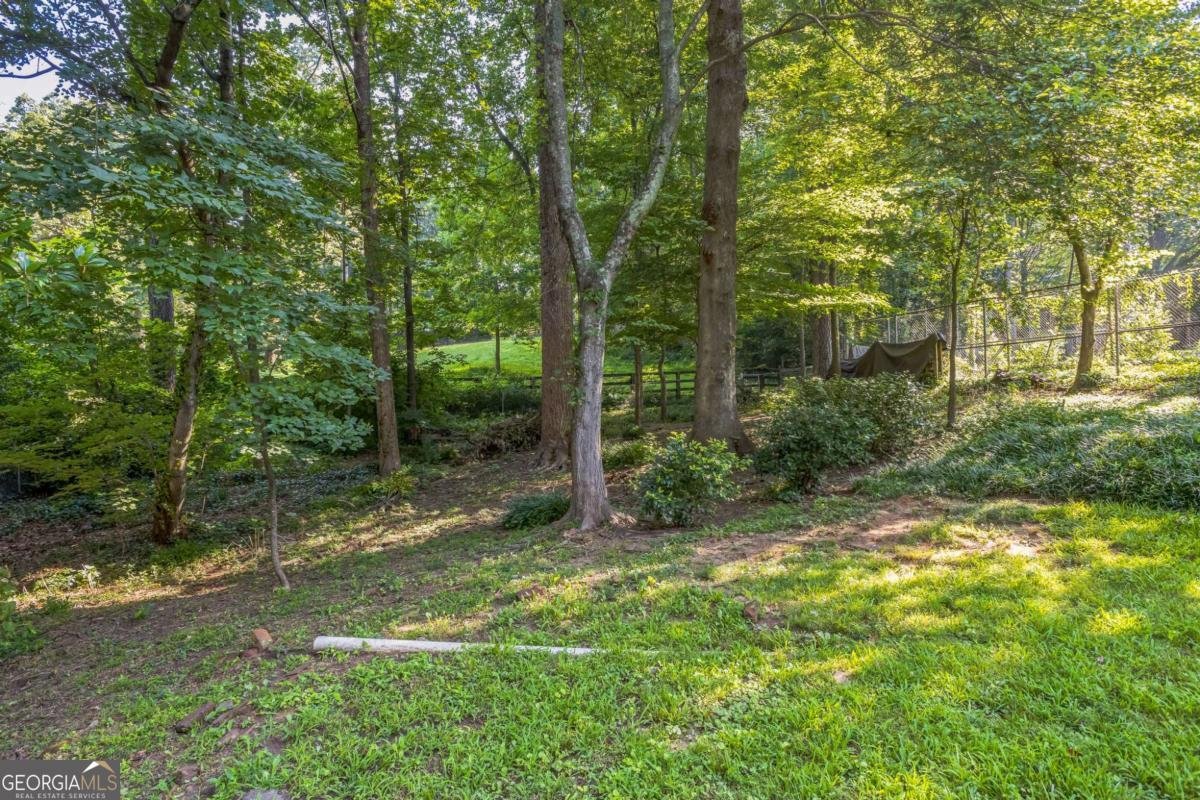 1646 Rainier Falls Drive Atlanta - 6