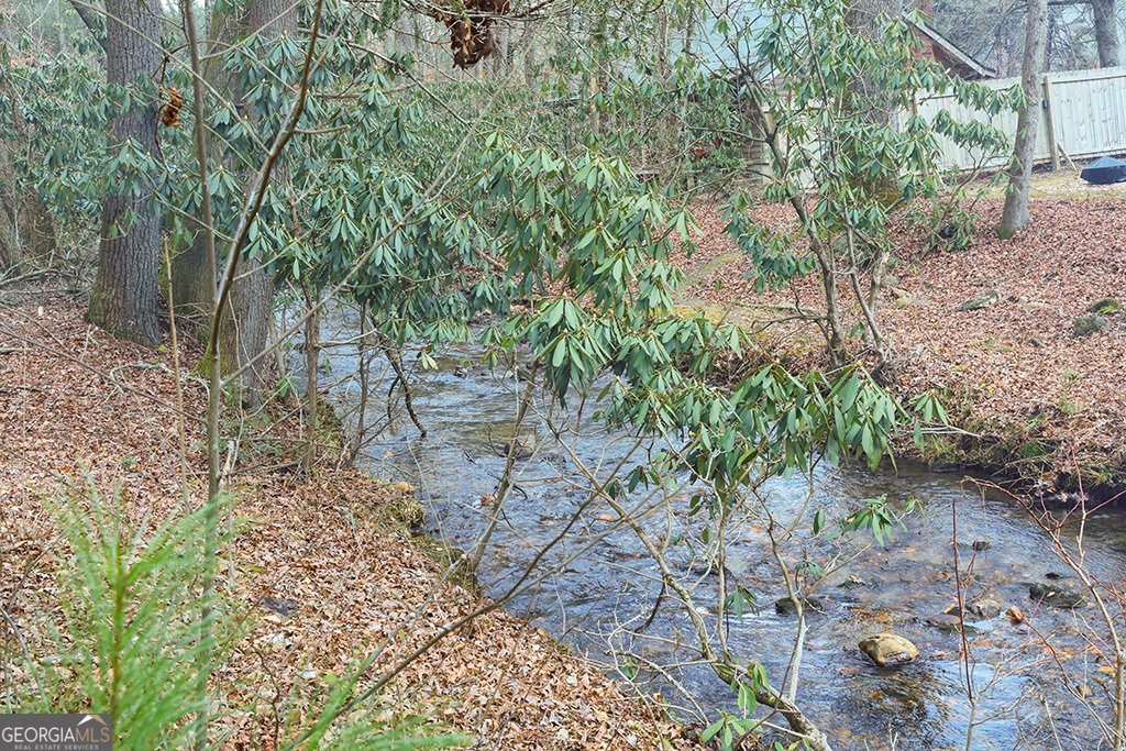 7223 Doublehead Gap Road Blue Ridge - 20