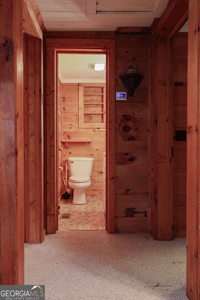 7223 Doublehead Gap Road Blue Ridge - 6