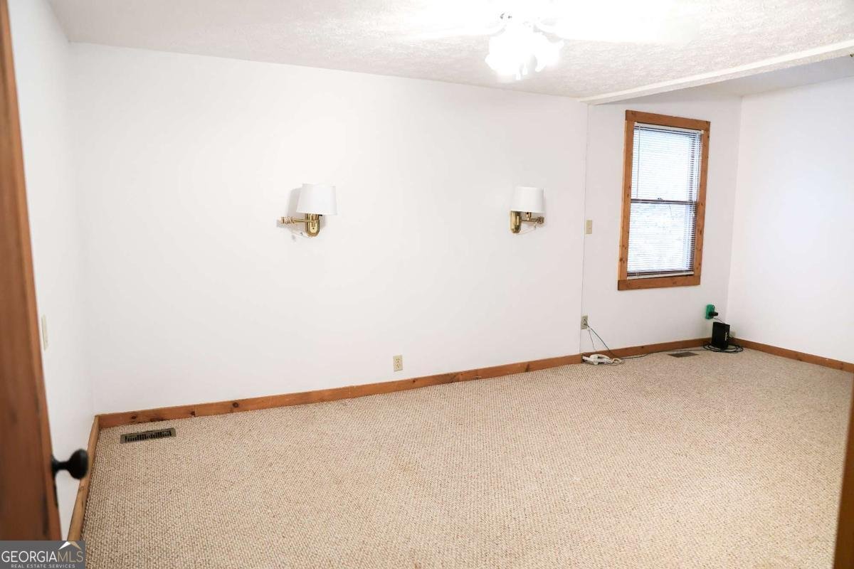 7223 Doublehead Gap Road Blue Ridge - 8