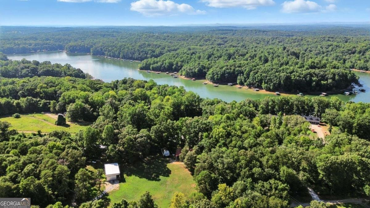 195 Stovall Ext Road Lavonia - 3