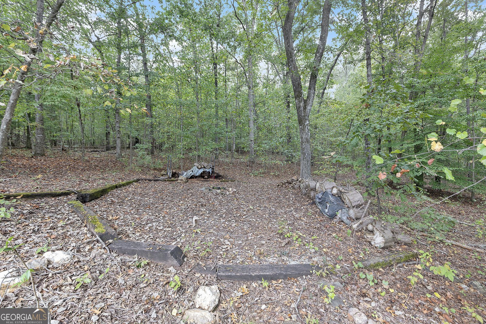 8390 Mossybrook Lane Douglasville - 19