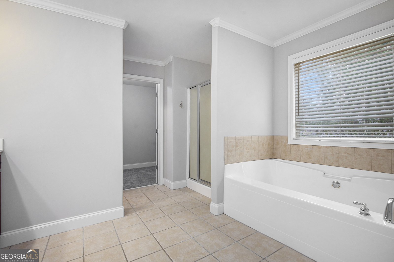 8390 Mossybrook Lane Douglasville - 27