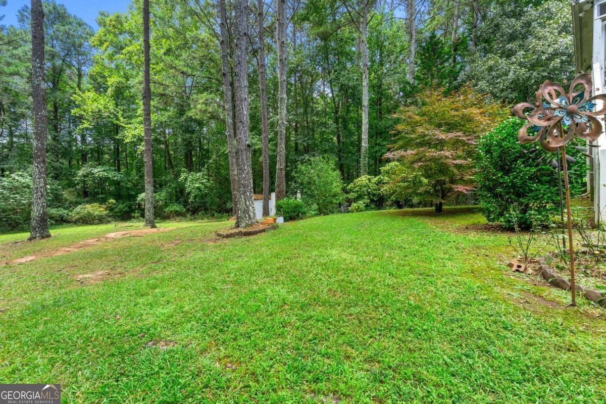391 Hudson Circle Douglasville - 21