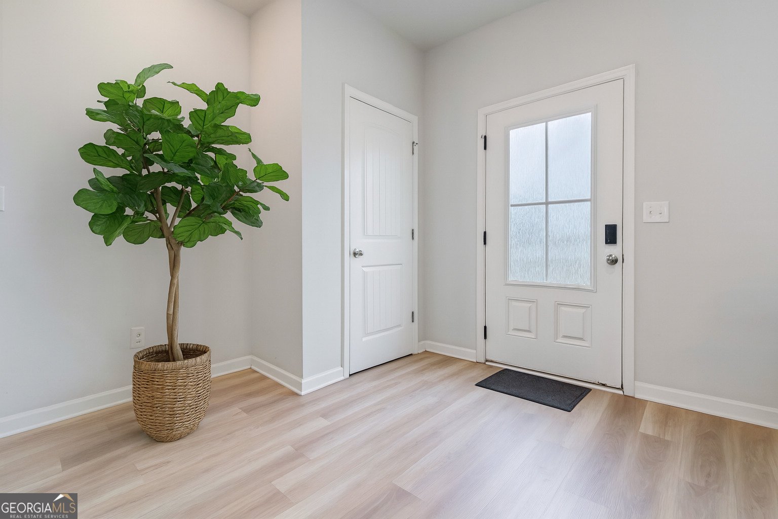 295 Cobalt Drive Fayetteville - 5