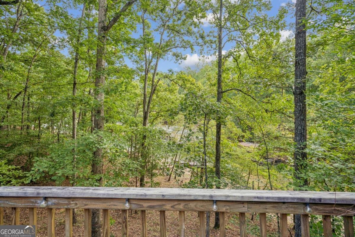 9320 Chestatee Court Gainesville - 15