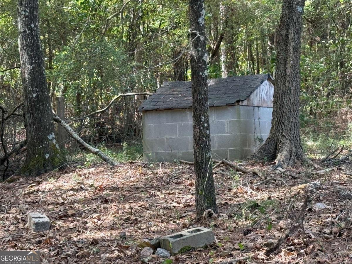 3230 Klondike Road Conyers - 37