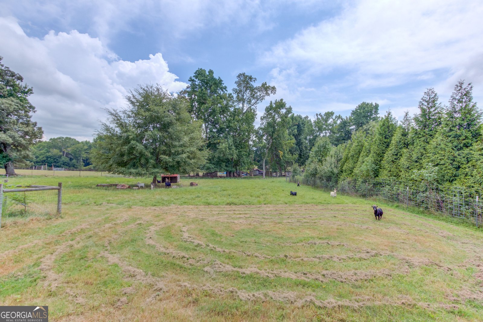 2085 Jones Phillips Road Dacula - Photo 46