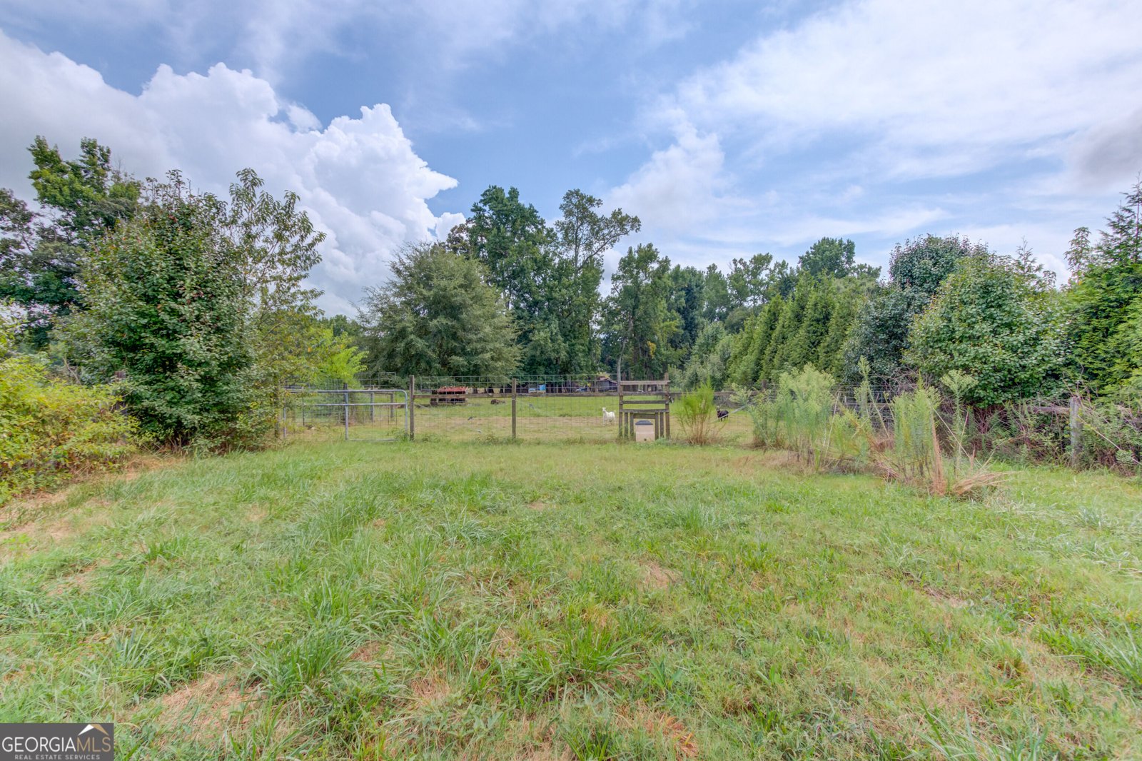 2085 Jones Phillips Road Dacula - Photo 48