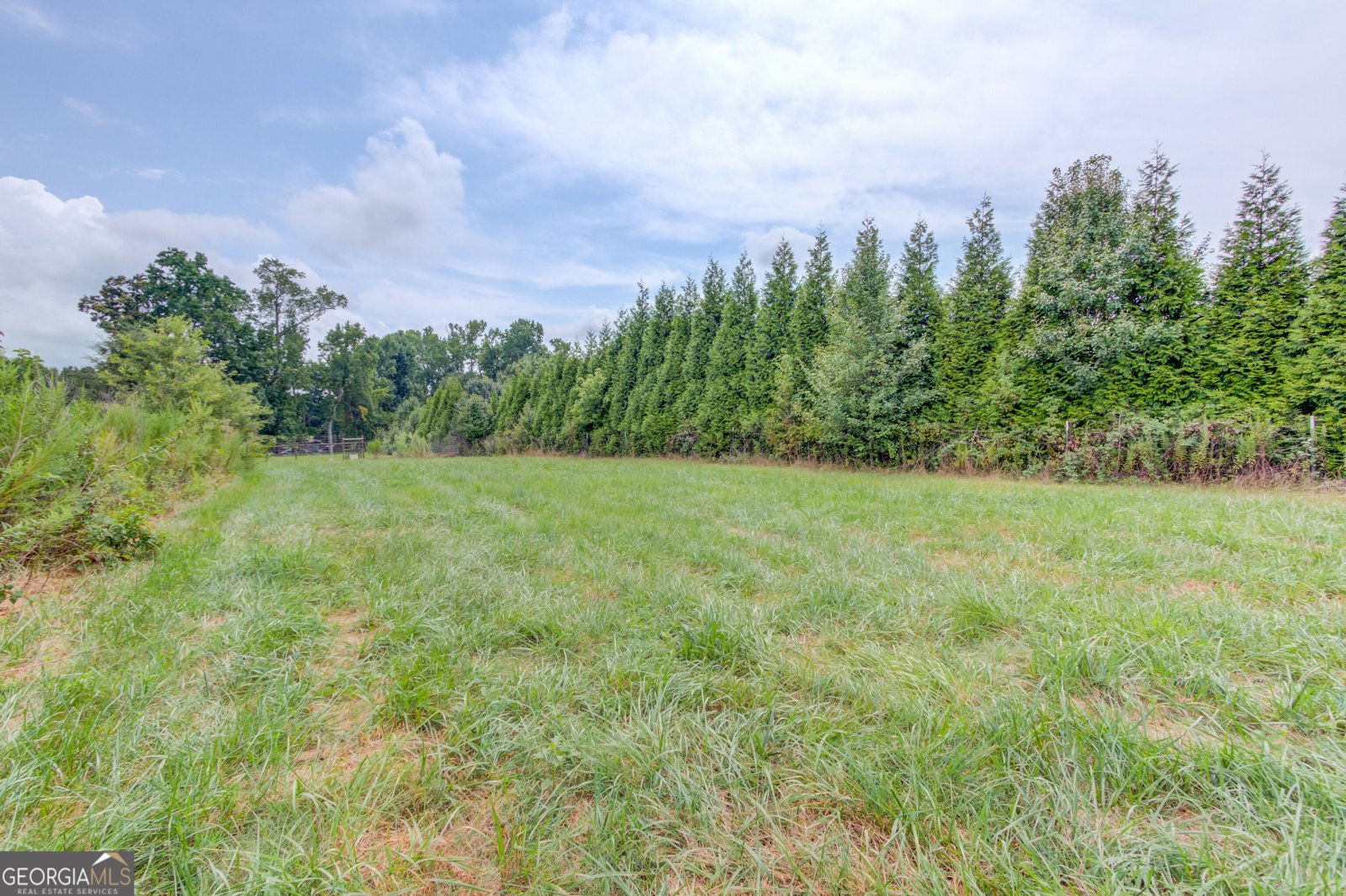2085 Jones Phillips Road Dacula - Photo 49