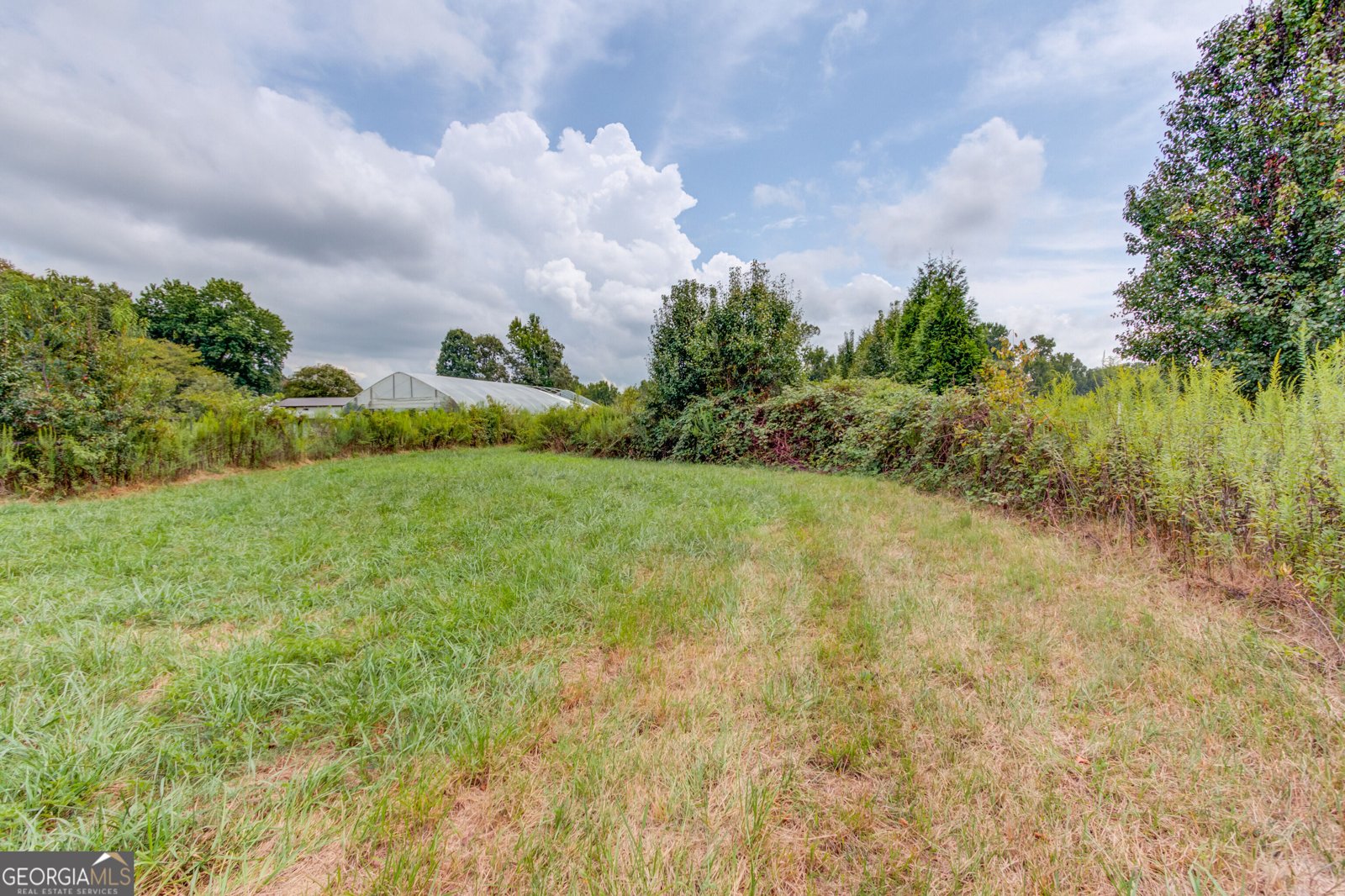 2085 Jones Phillips Road Dacula - Photo 50