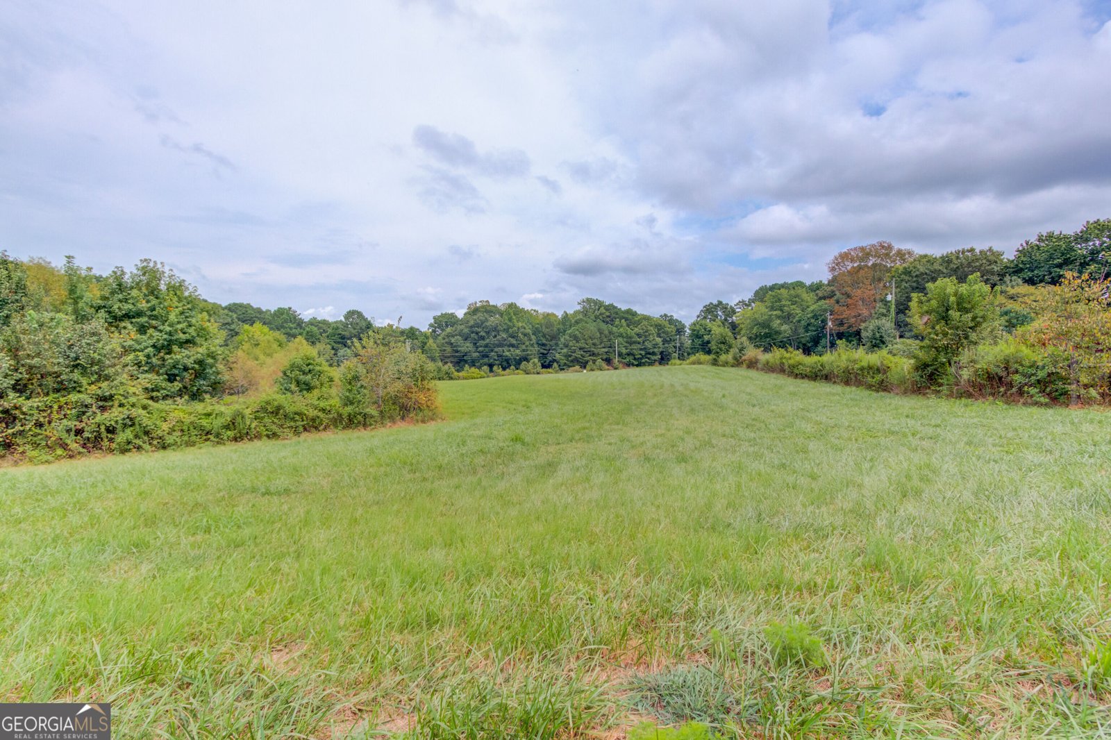 2085 Jones Phillips Road Dacula - Photo 51
