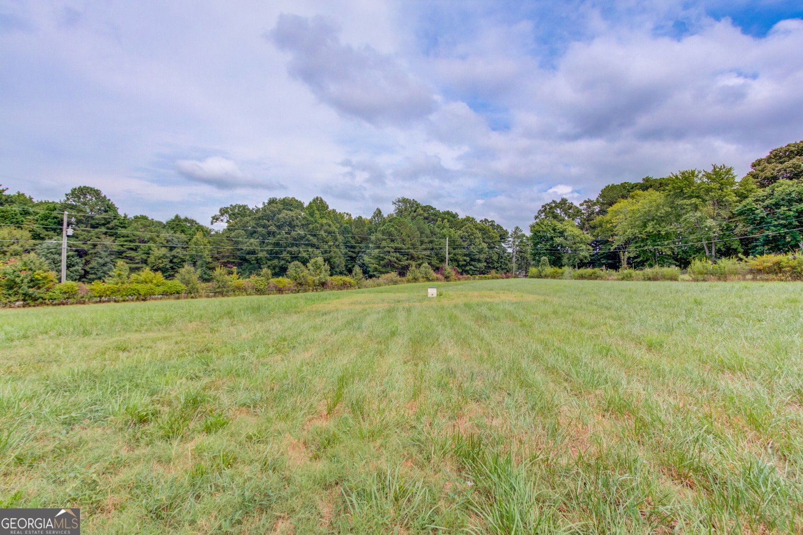 2085 Jones Phillips Road Dacula - Photo 53