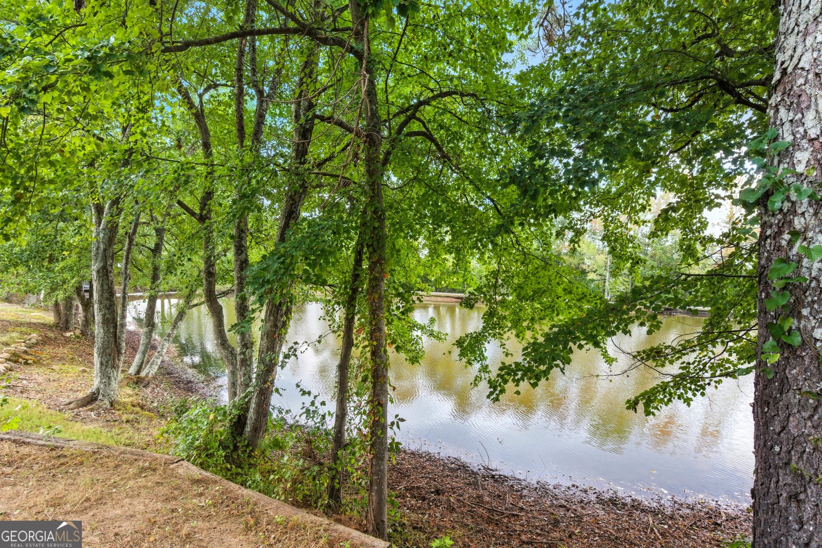 207 Retreat Way Carrollton - 6