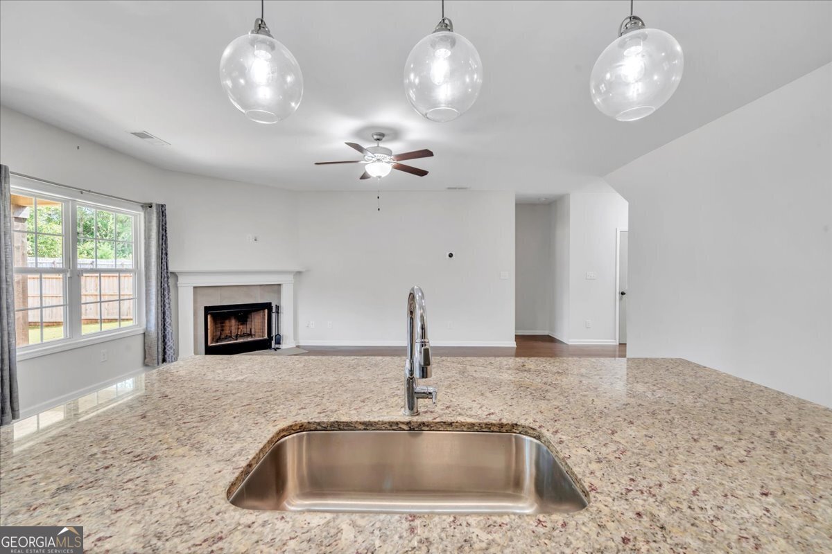 1177 Victorian Boulevard Forsyth - 16