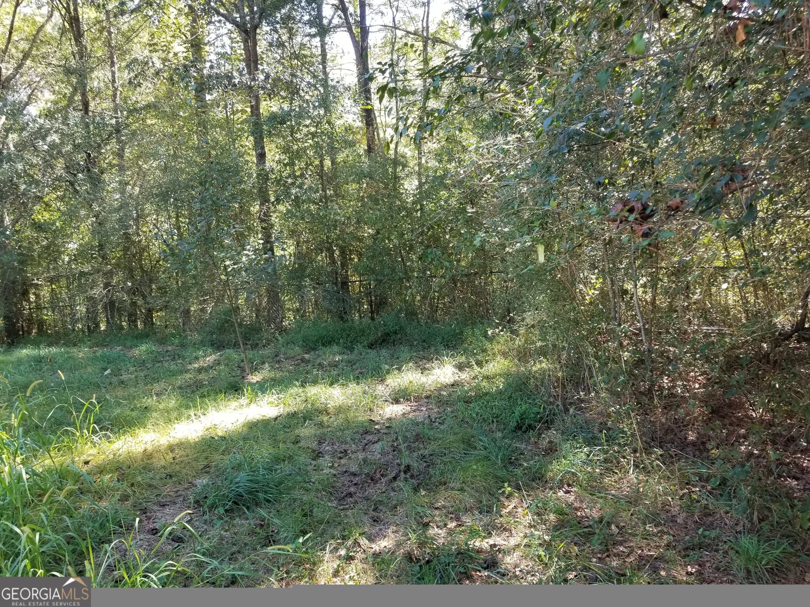 110 Dunson Road Tallapoosa - 11