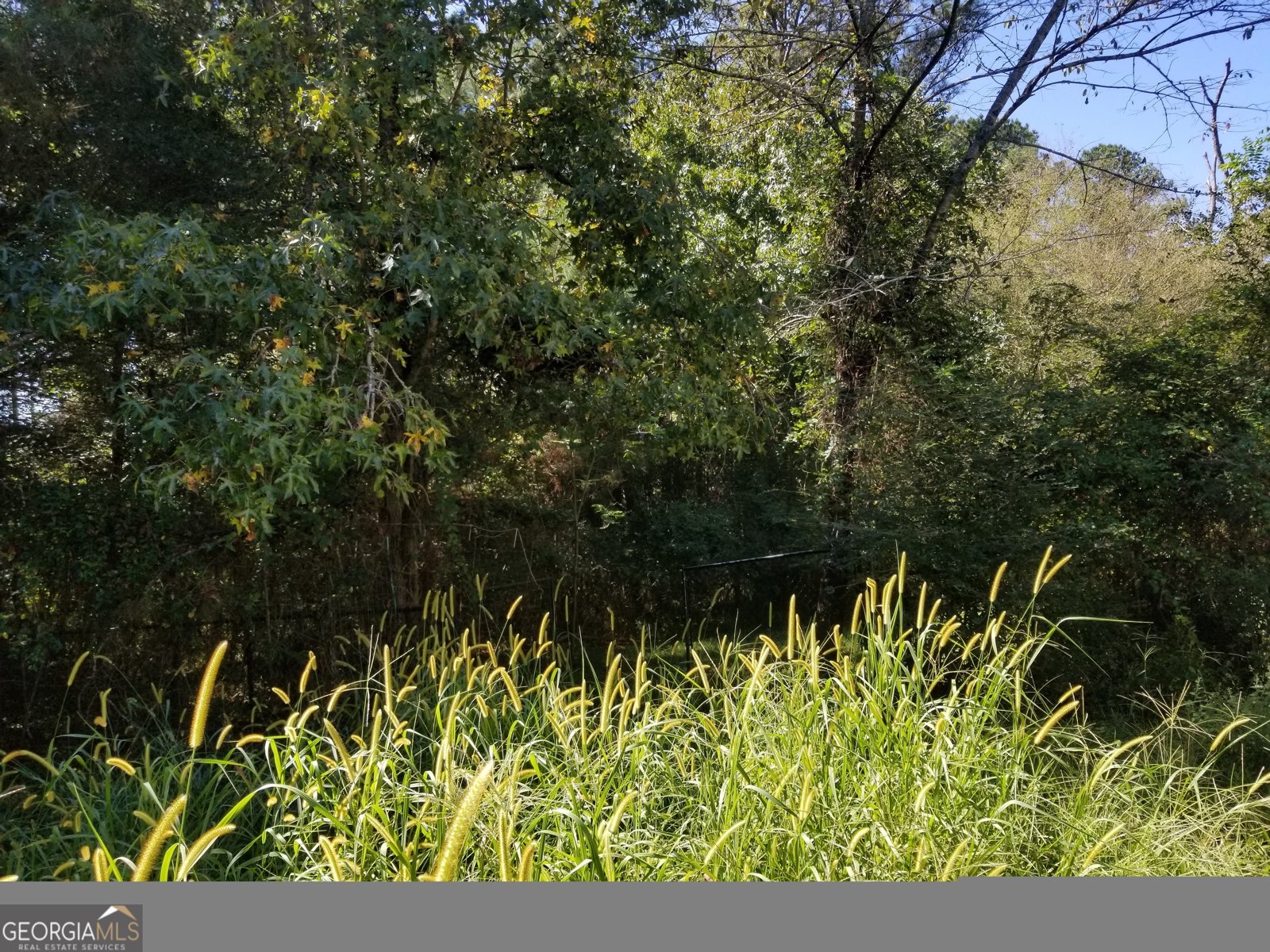 110 Dunson Road Tallapoosa - 12