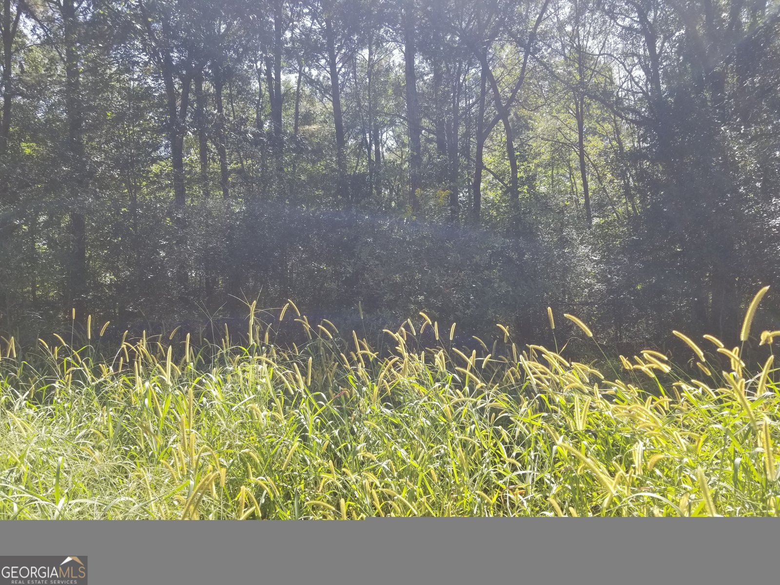 110 Dunson Road Tallapoosa - 13