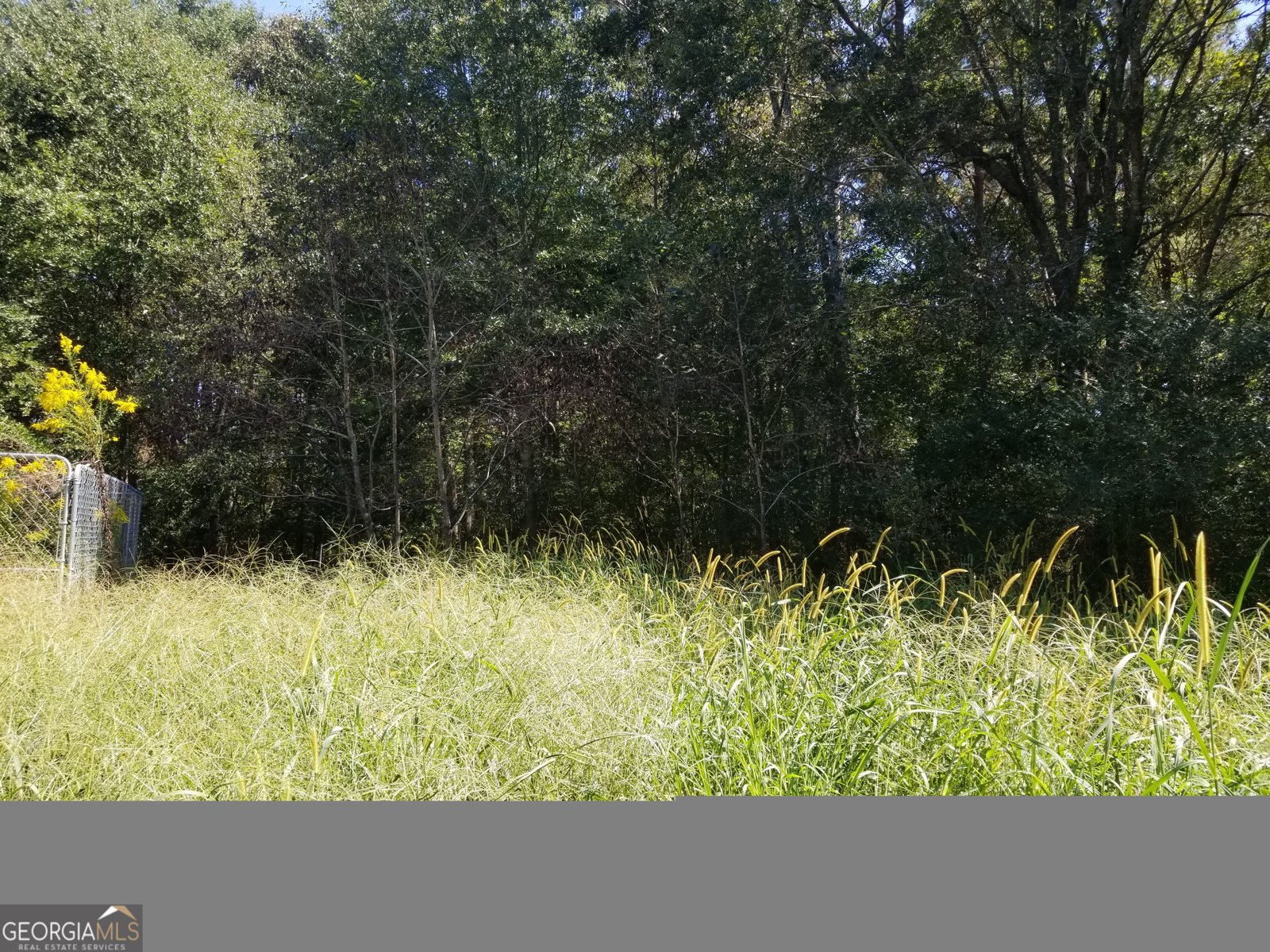 110 Dunson Road Tallapoosa - 14