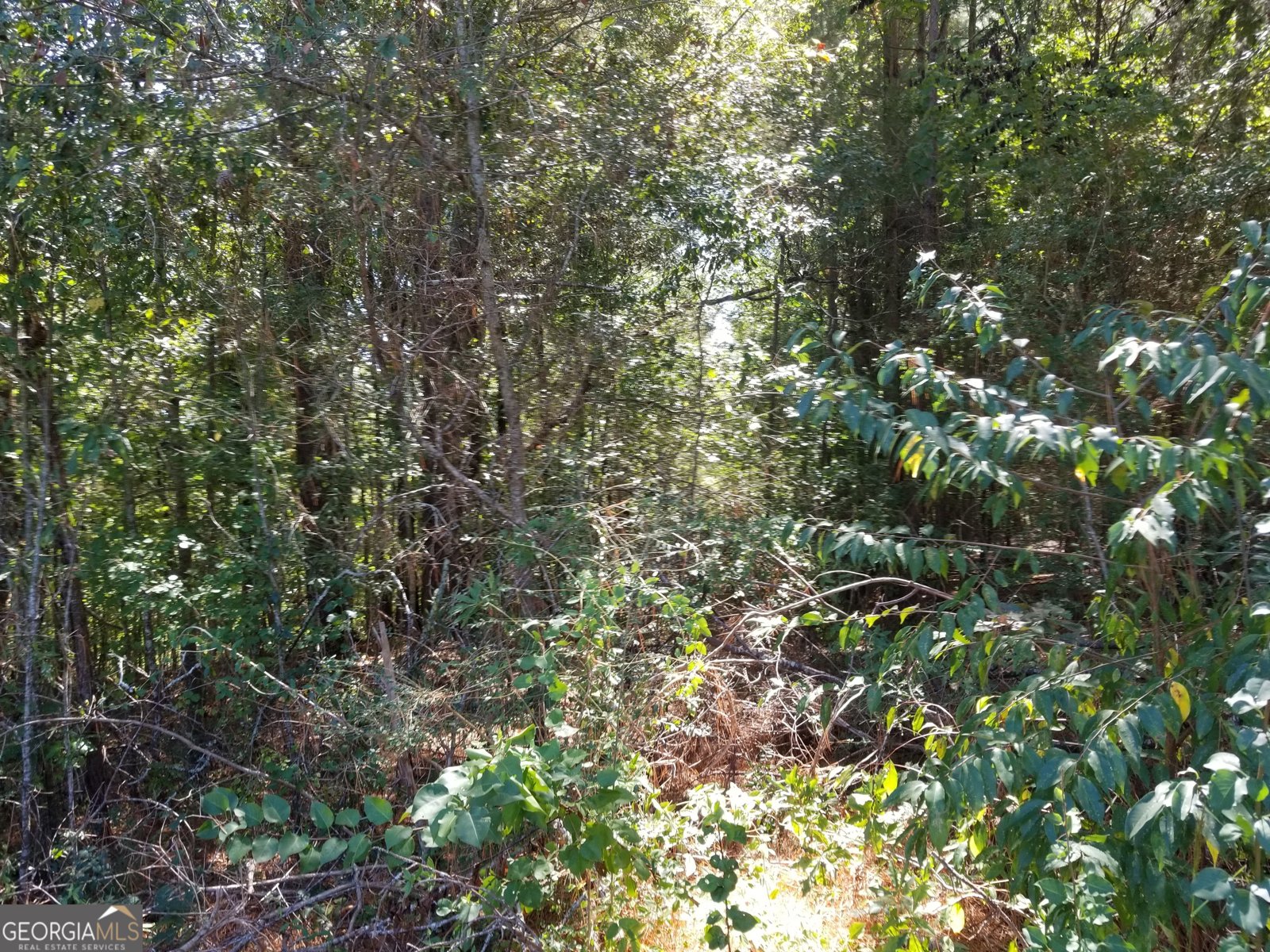 110 Dunson Road Tallapoosa - 15