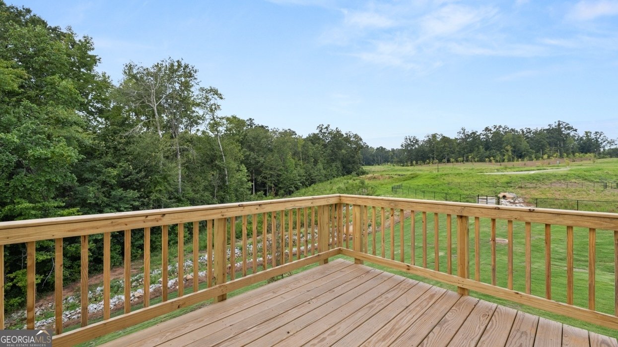 620 Lobelia Way Locust Grove - 23