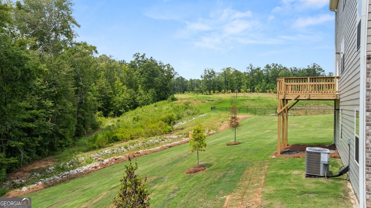 620 Lobelia Way Locust Grove - 55