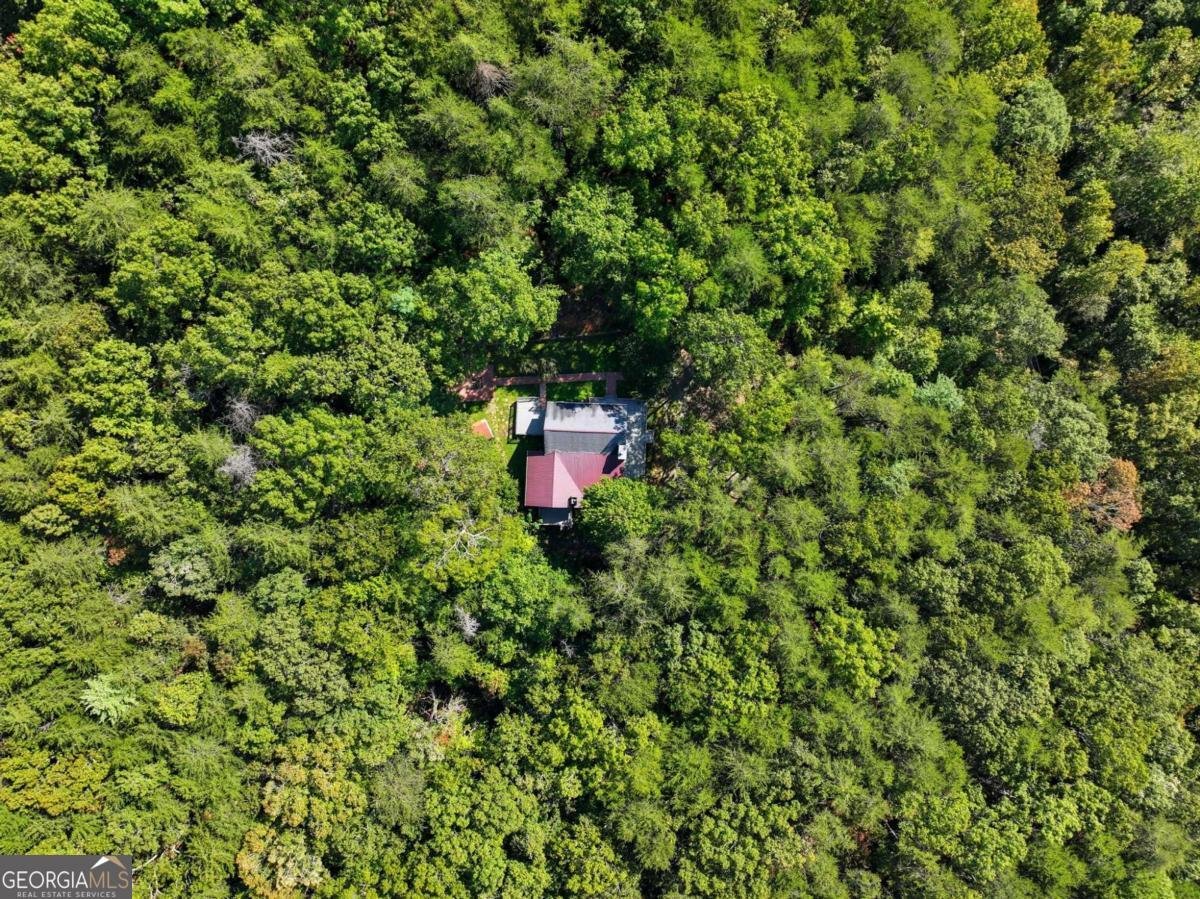 55 Tickanetley Lane Ellijay - 35