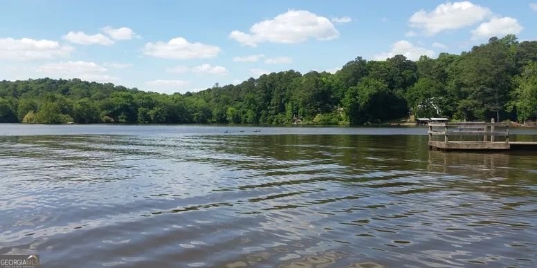 8515 Lake Drive Snellville - 4