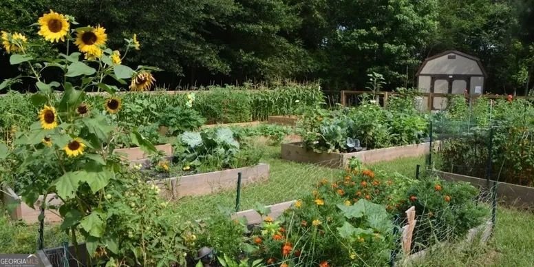 8515 Lake Drive Snellville - 54