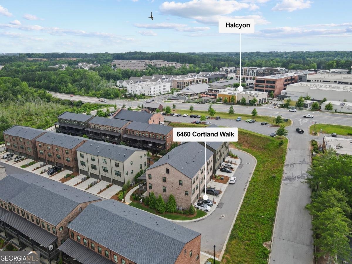 6460 Cortland Walk Alpharetta - 47