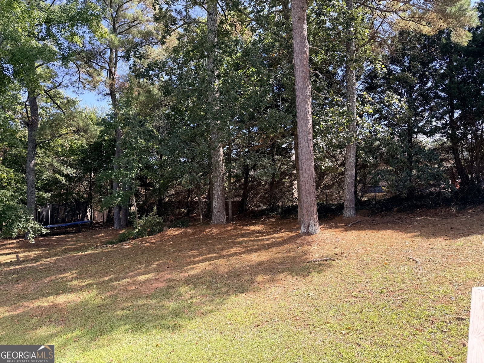 241 Summer Pond Trail Lawrenceville - 24